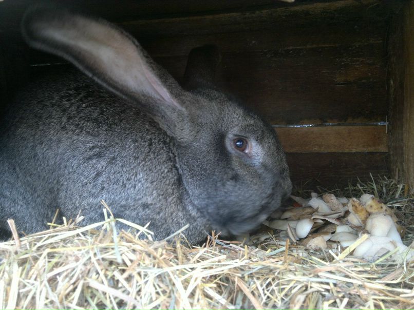 Максим Егоров | Казань