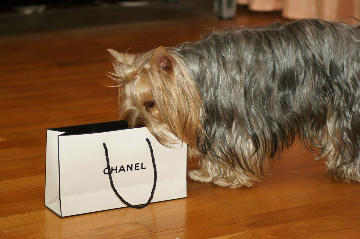 Александр Пушкарёв | Екатеринбург