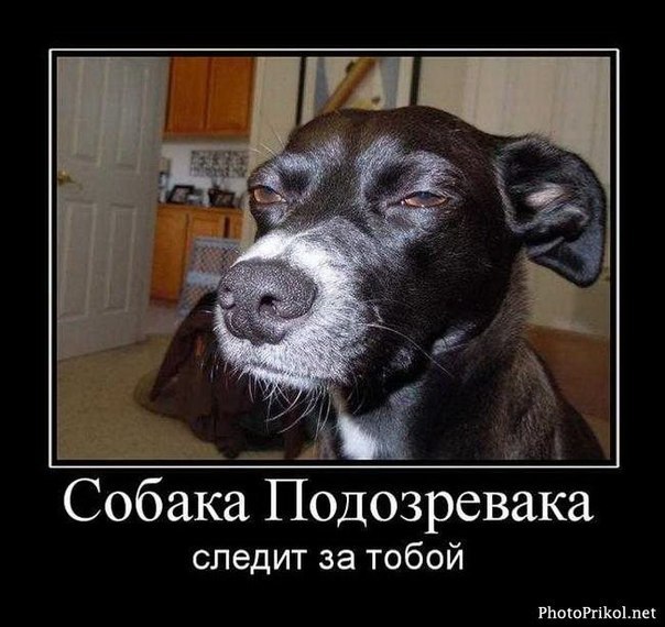 Анвар Кох | Набережные Челны