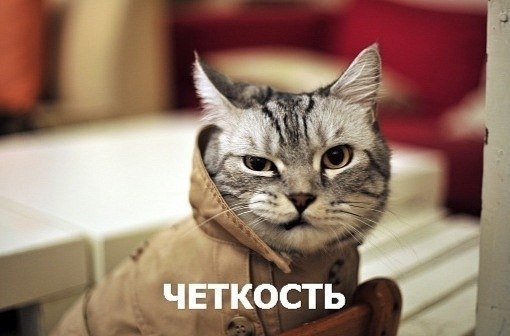 Макс Шевчук | Кременчуг