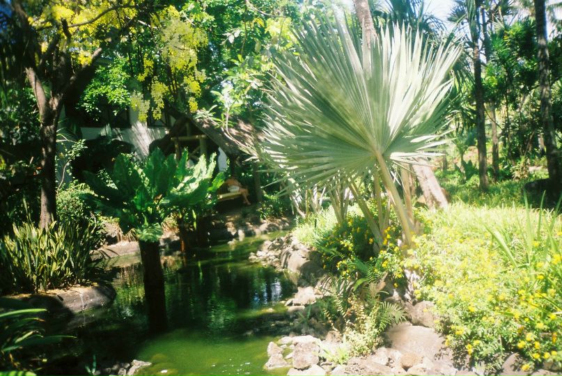 Елена Вене | Алматы