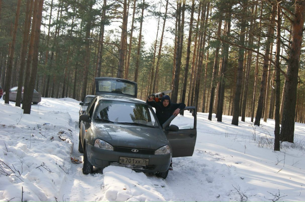 Алексей Константинов Стрелец | Ярославль