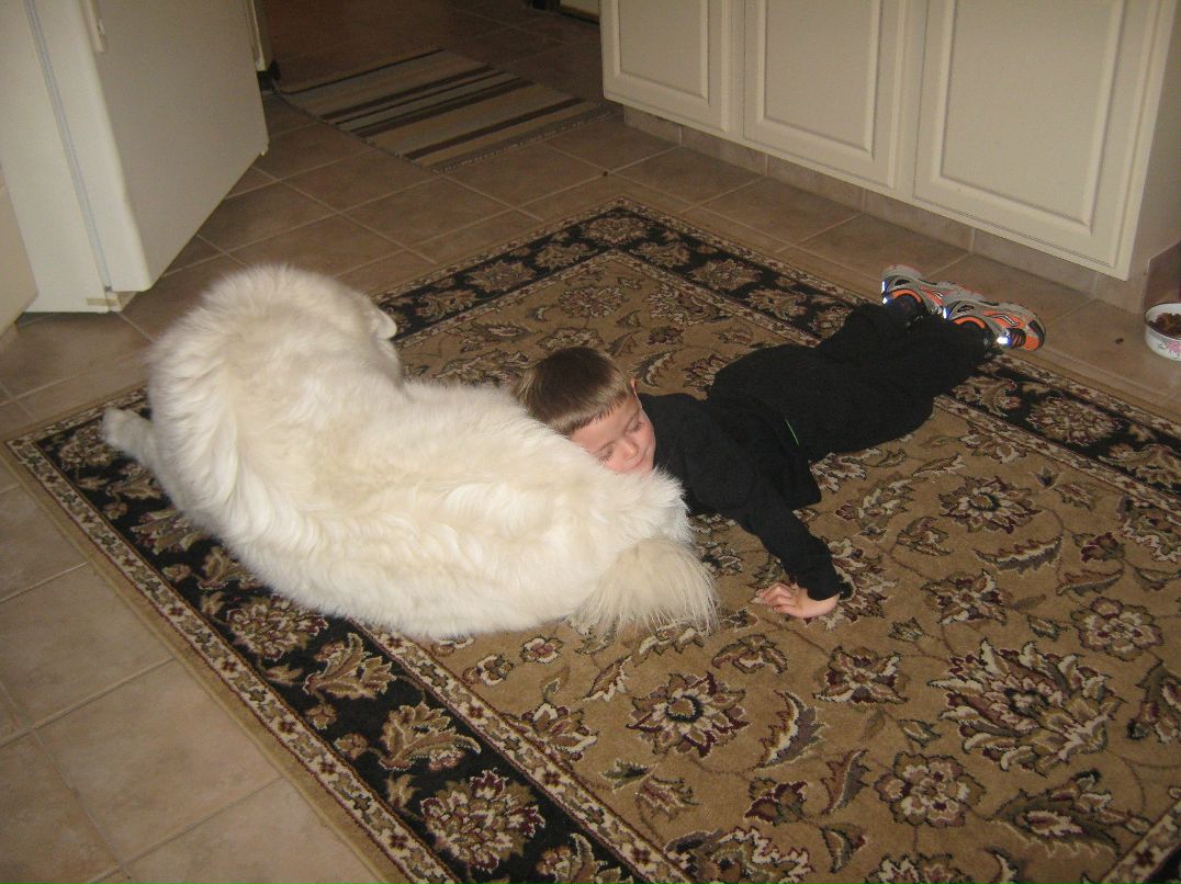 Надя Кулакова Брэннан | Denver