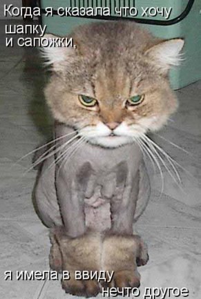 Александр Скрипка | Санкт-Петербург