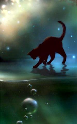 Вера Котович | Одесса