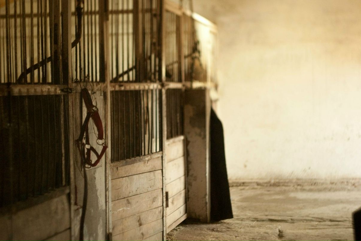 DELETED Deleted | Тула