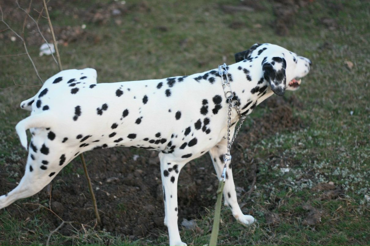 Славик Аджигитов | Москва