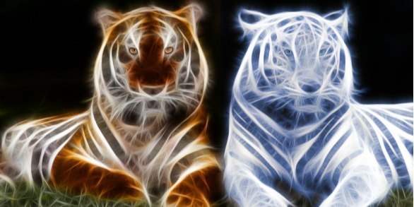 Никита Власов | Ровно