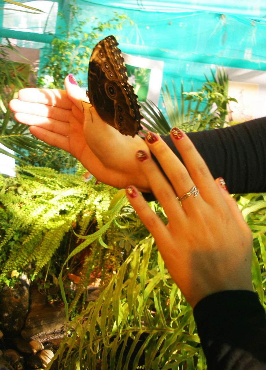 Лерок Квитка | Москва