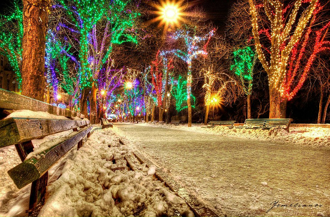 Михаил Скворцов | Москва