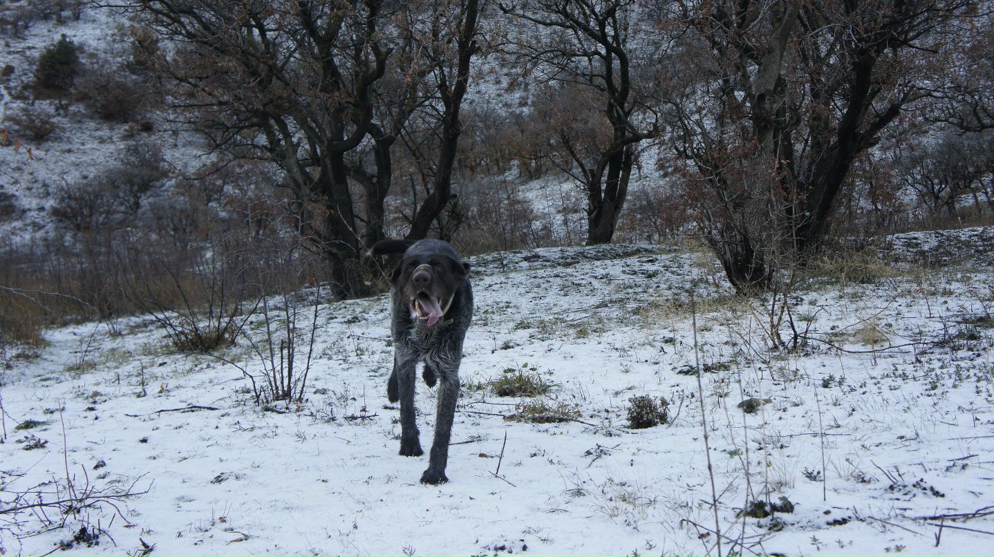 Рустам Шарафутдинов | Новороссийск