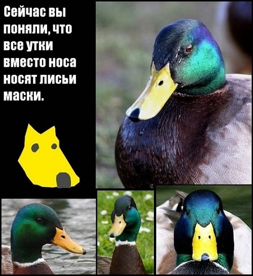 №34, Дарья Ефименко, 36 лет, Москва №34, Дарья Ефименко, 36 лет, Москва