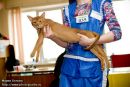 Фотография Александра Abyssinskaya