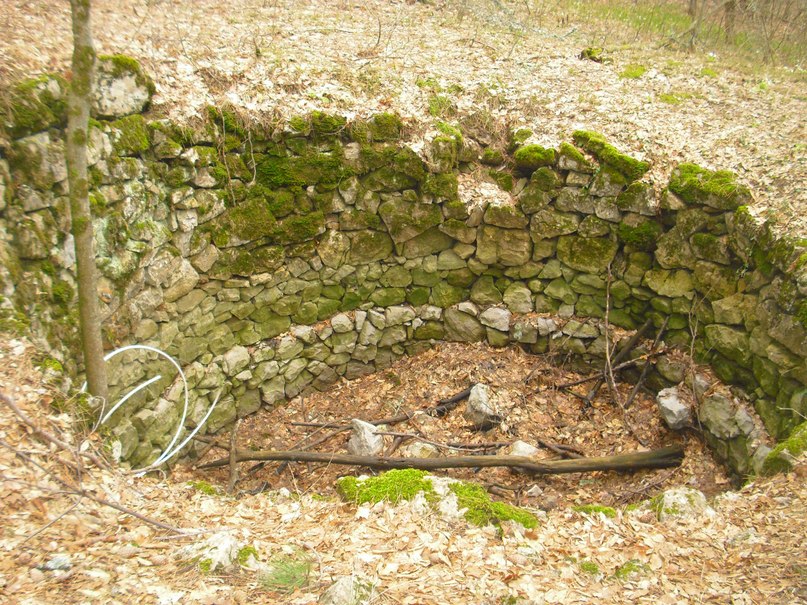 Роман Дашко __ÑøøÃ__ | Ялта