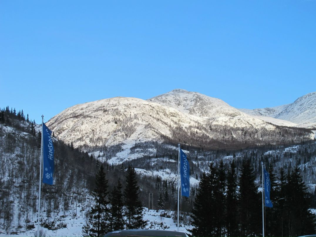 Елена Богданова DARA | Санкт-Петербург