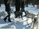 №41 Ира Без : профиль, фото, статус - ВКонтакте
