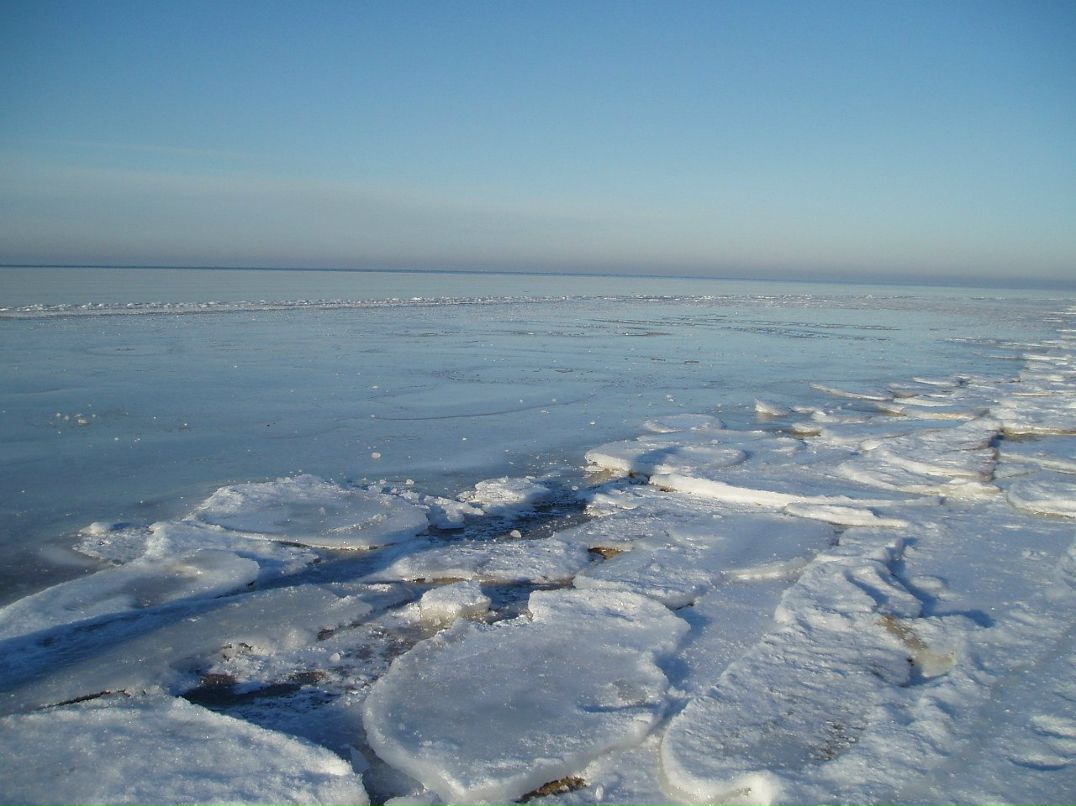 Ольга Плотникова ( corny) | Нарва