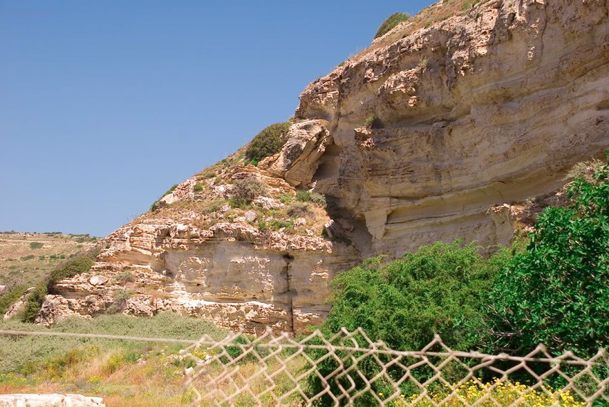 Mikhail Chipurnoi | Москва