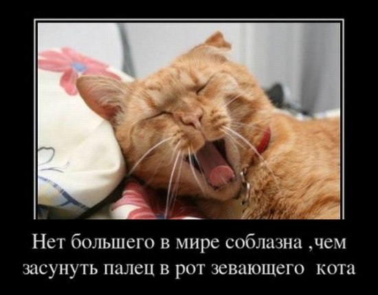 Ольга Терушкина | Чебоксары