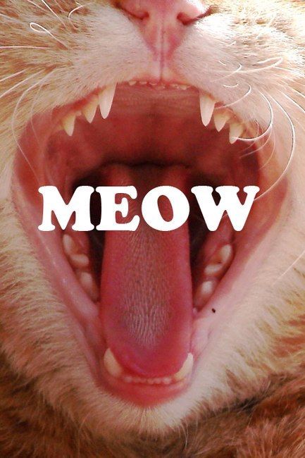 Маша Саванаева | Казань