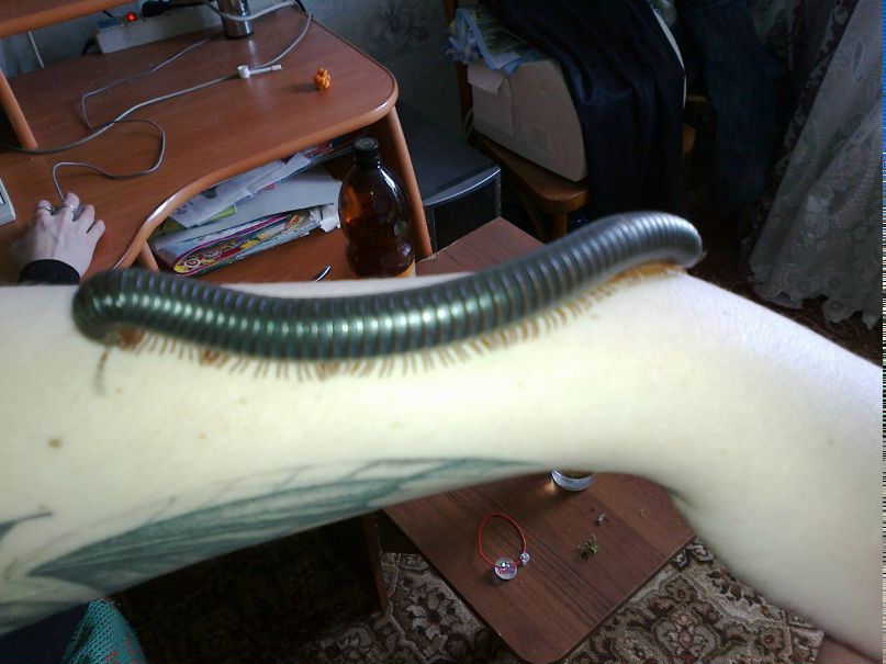 Наталья Елькина | Глазов