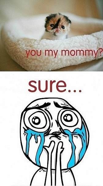 Мария Михайлова | Санкт-Петербург