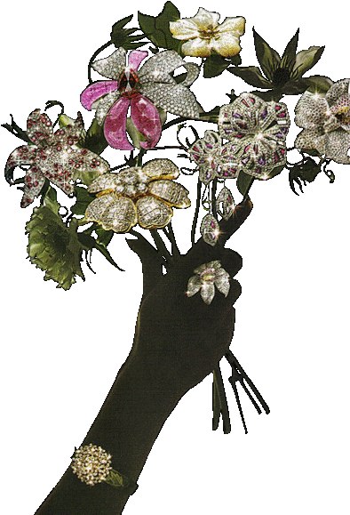 Наташа Иванчук | Черновцы