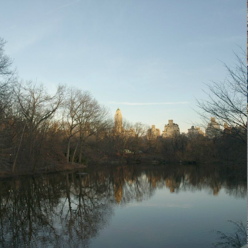 Ксения Зобачева | New York City