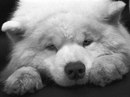 Фотография Оксана Фимова