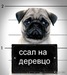 Юрик Непомящий фотография #11 (источник - https://vk.com/id152018612)