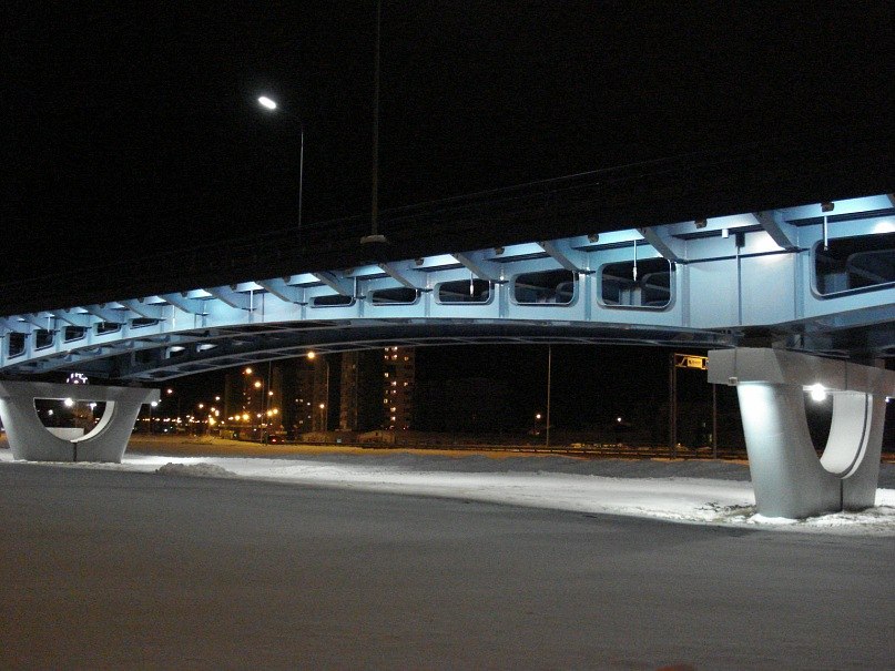 Мария Кузьмичёва | Саранск