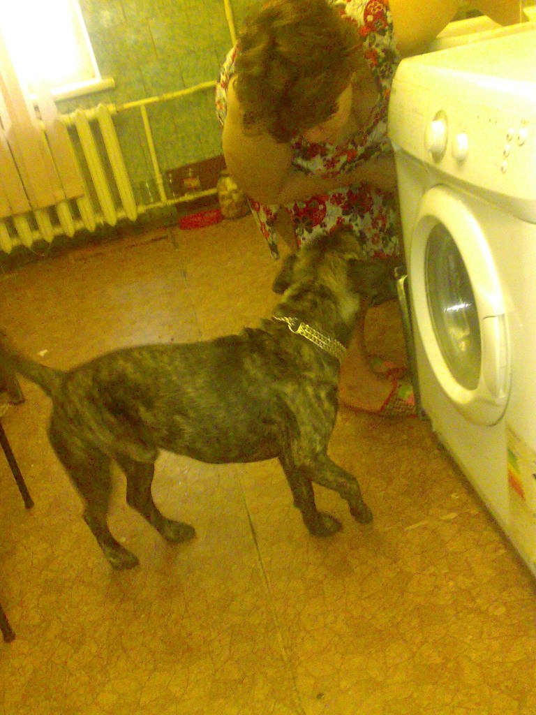 Тарлан Миркамиров Миркамирович | Санкт-Петербург