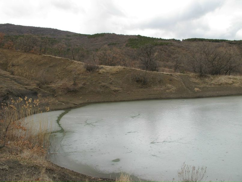 Игорь Баженов | 