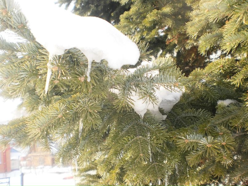 Сергей Фролов | Новокузнецк