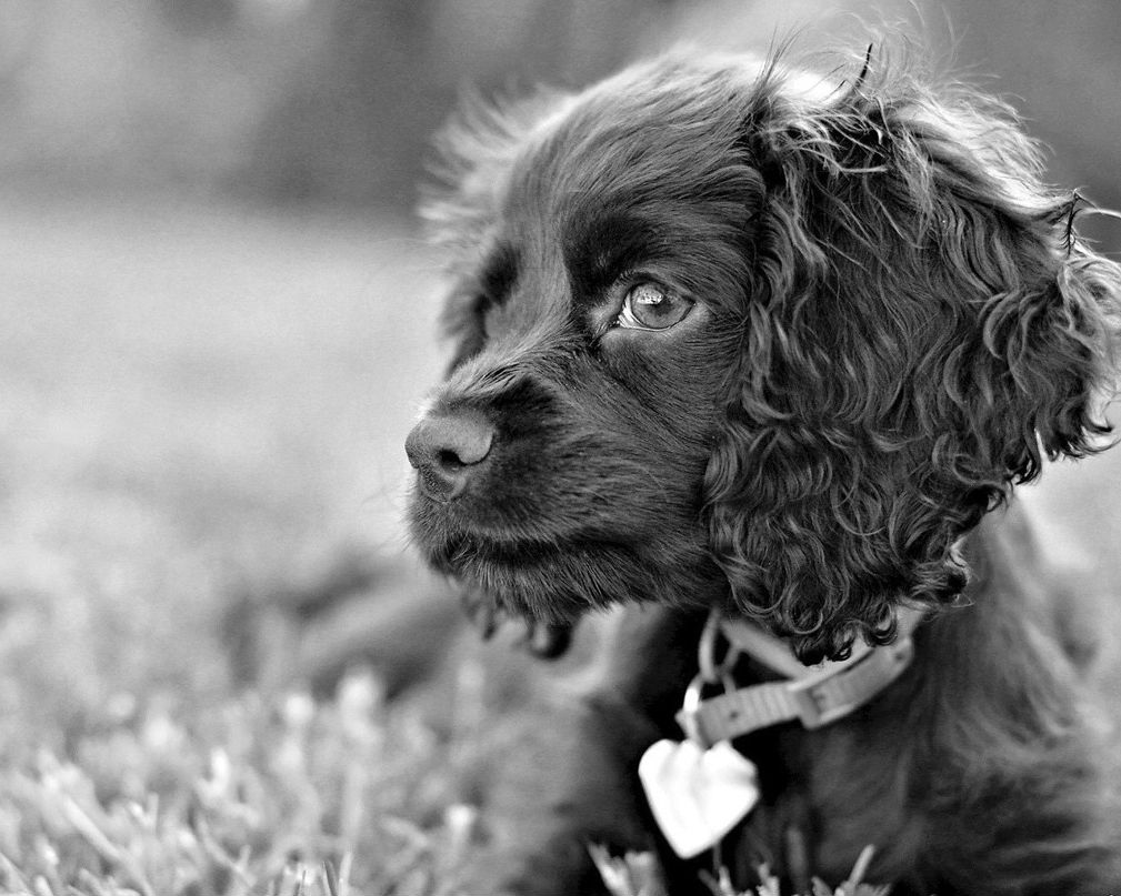 Maria Maria ;) | Нижний Новгород