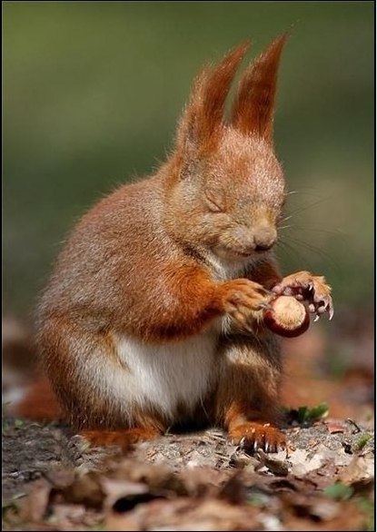 Виталий Пехтерев | 