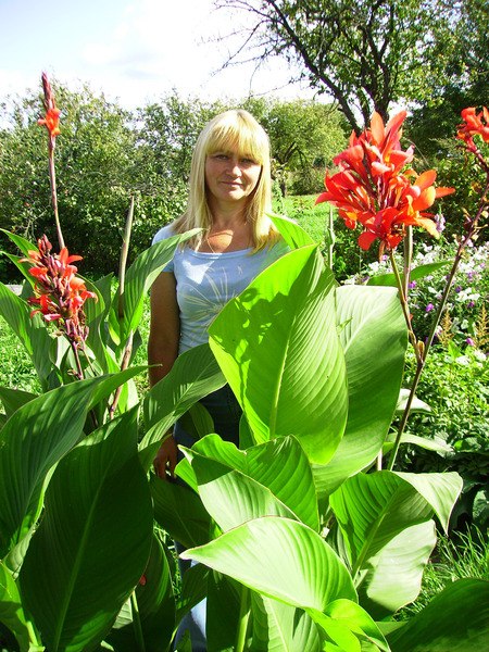 Лариса Галицкая | Витебск