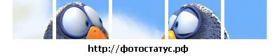 Фотография Макс Чернов