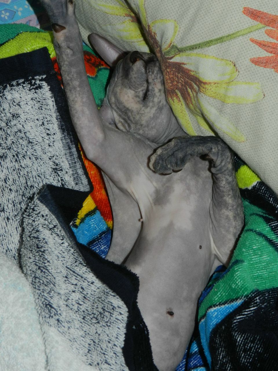 Таня Павлова ♥ | Вологда