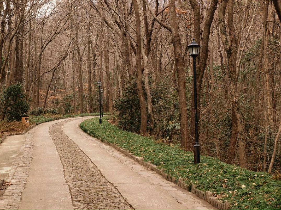 Владимир Лобода | Киев