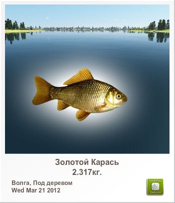 Александр Андреев | 