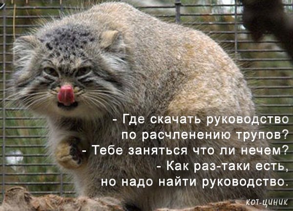 Дима Чечерин | Санкт-Петербург