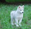 №9 Алла Высокогорская 18.01.1989: профиль, фото, статус - ВКонтакте
