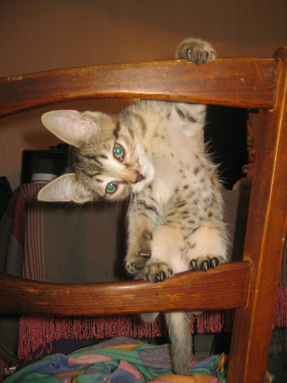 Ирочка Прокудина | Волгоград