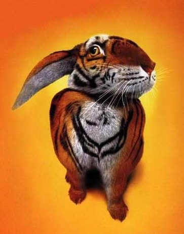 №4, Миха Бурый №4, Миха Бурый