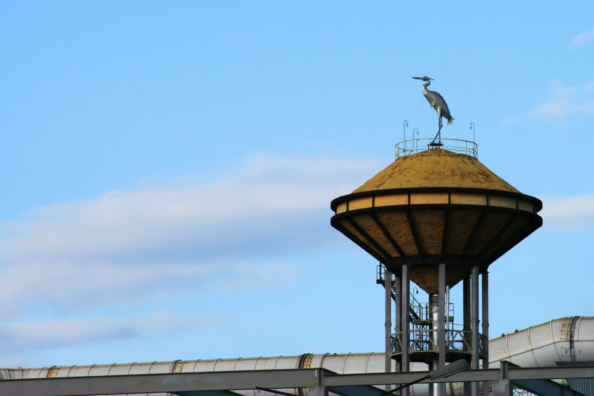 Екатерина Дурнева | Екатеринбург