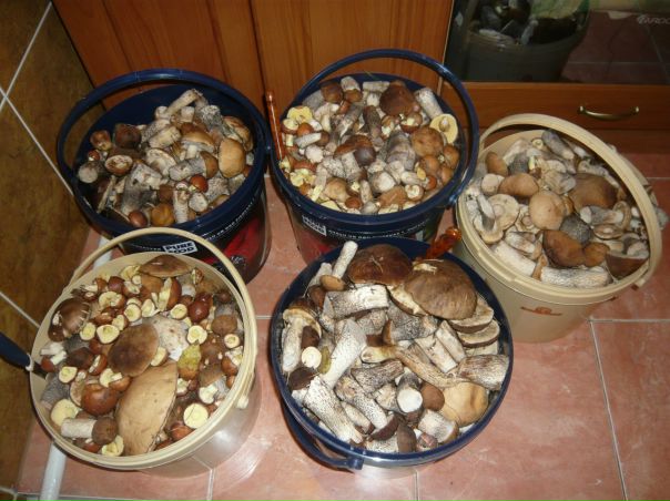 №3, Александр Лукин №3, Александр Лукин