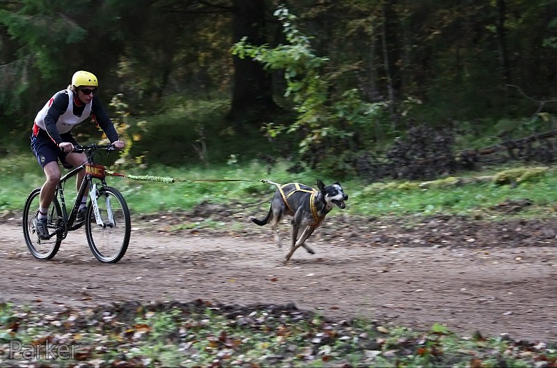 Александр Николаевич | Ага