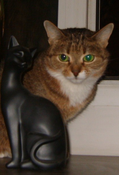 Любовь Дюкрэ | Москва