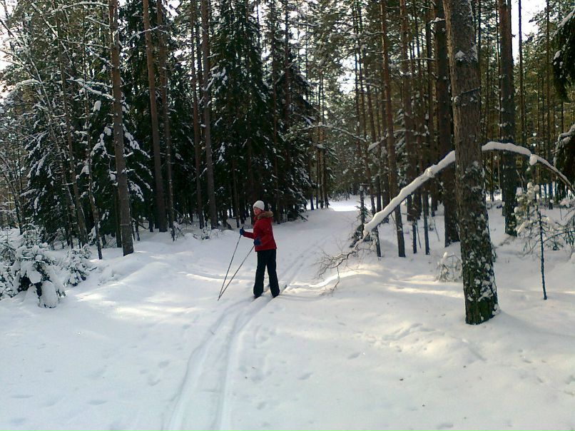 Елена Ионова | Санкт-Петербург